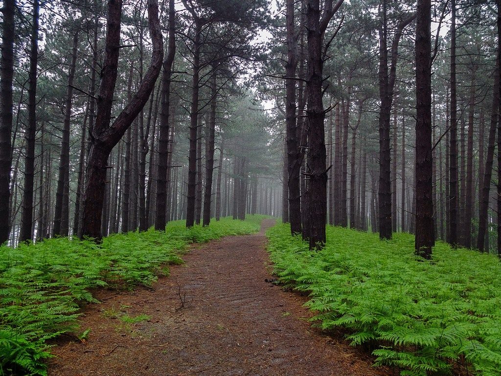 dscf0821_small_small