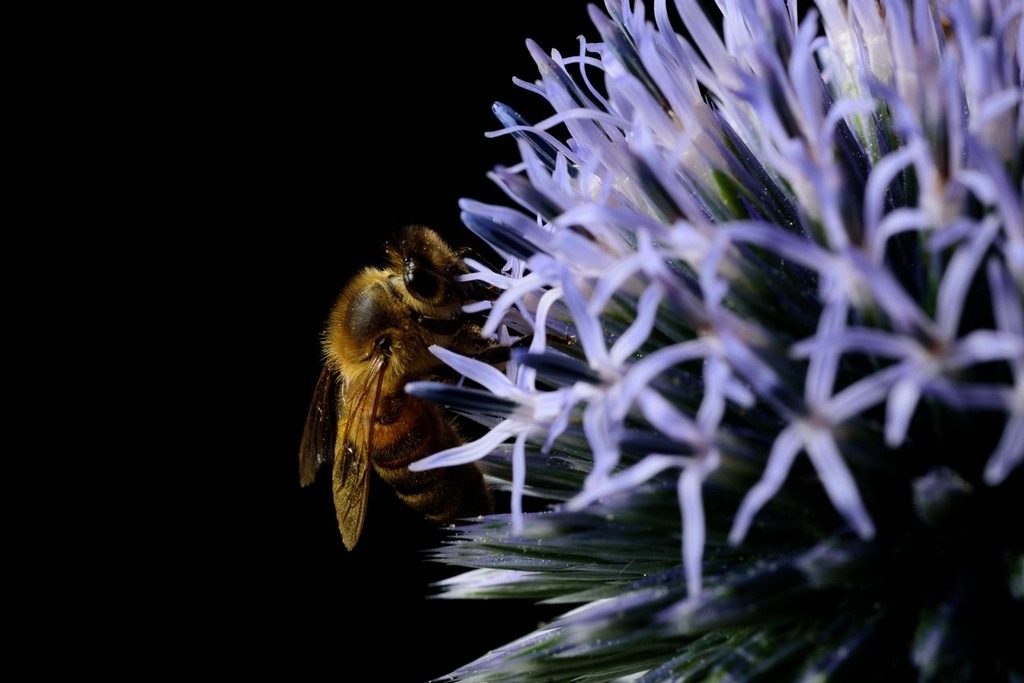 dsc_5019_small_small