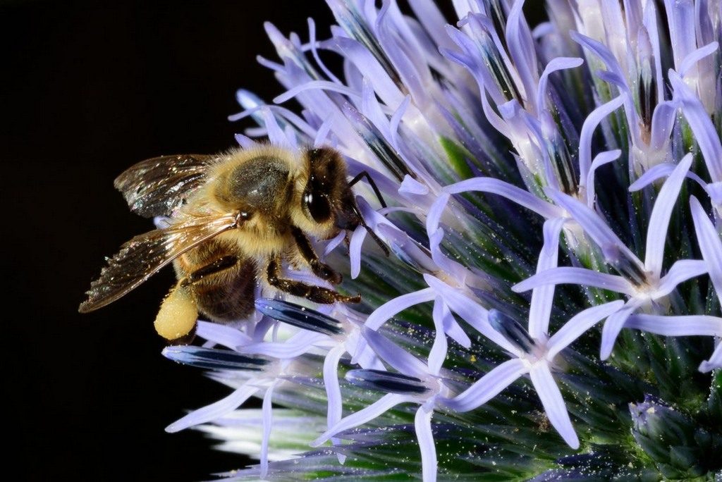 dsc_5063_small_small