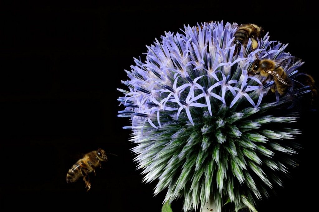 dsc_5069_small_small