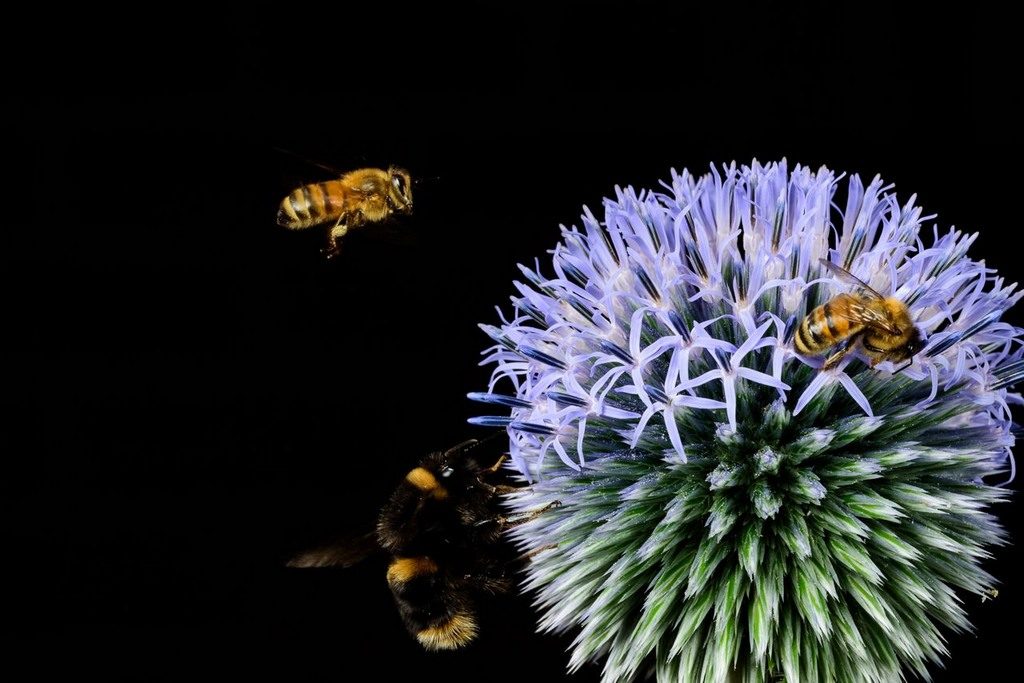 dsc_5085_small_small